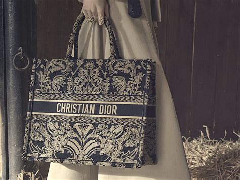 small dioraura dior book tote|Dior Book Tote Review: A Full Pros & Cons List .